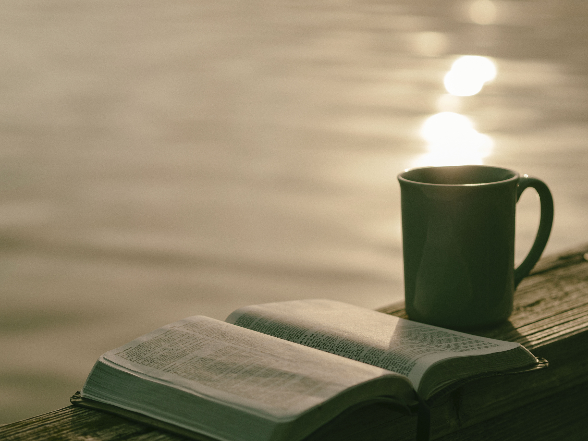 Mug and a Book by the Lake